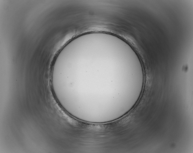 X0000111041286200907091600