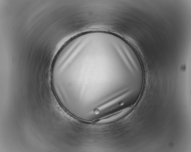 X0000111041288200907091600