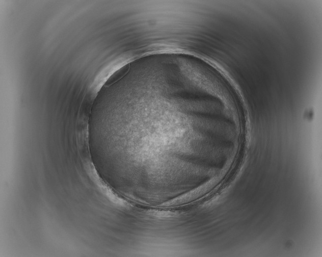 X0000111041289200907091600