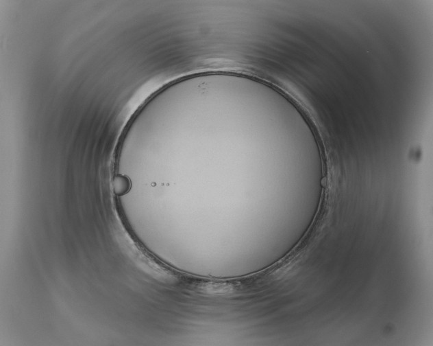 X0000111041291200907091600