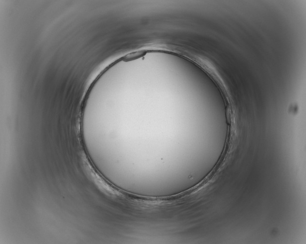 X0000111041292200907091600