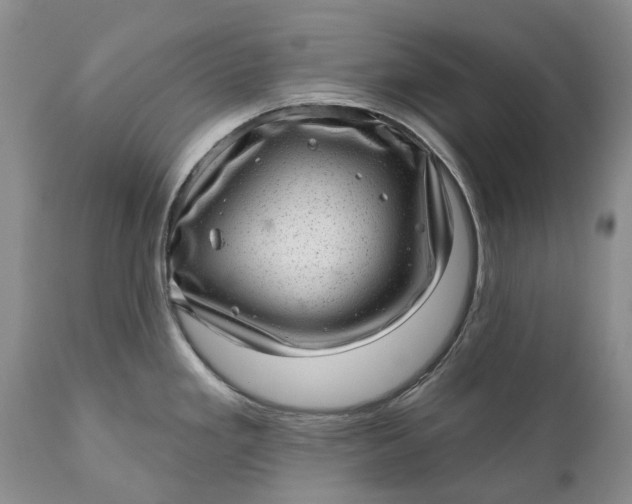 X0000111041293200907091600