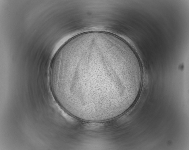 X0000111041294200907091600