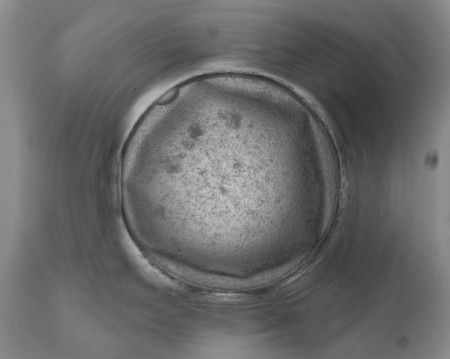 X0000111041295200907091600