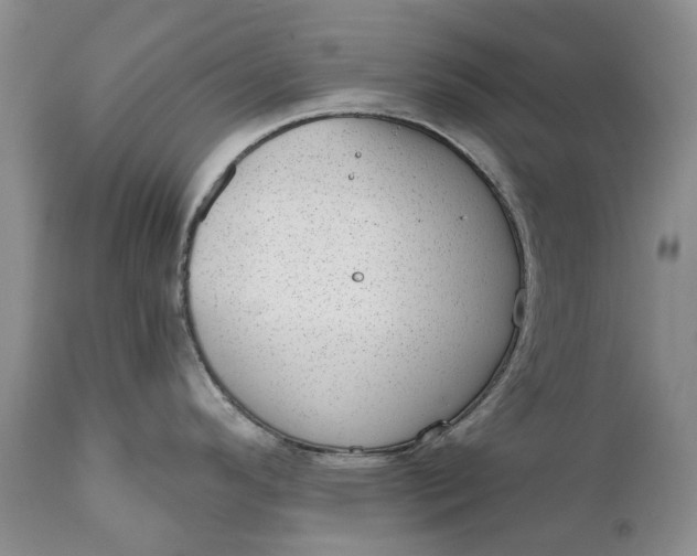 X0000111041296200907091600