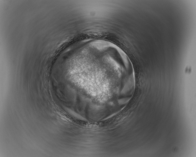 X0000111041297200907091559