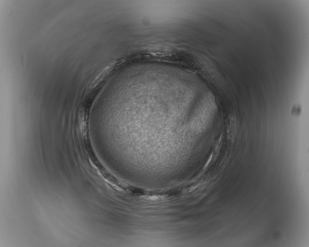 X0000111041298200907091559