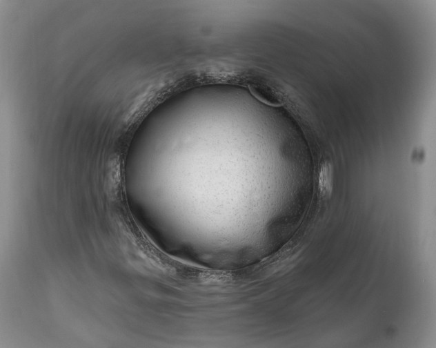 X0000111041299200907091559