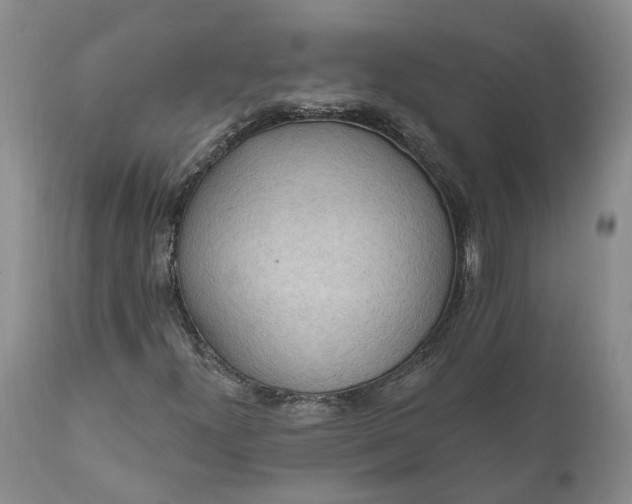 X0000111041300200907091559