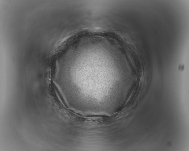 X0000111041301200907091559