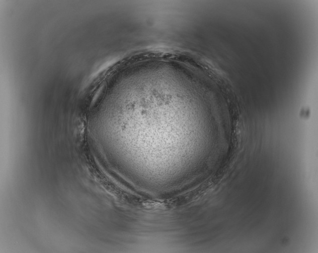 X0000111041302200907091559