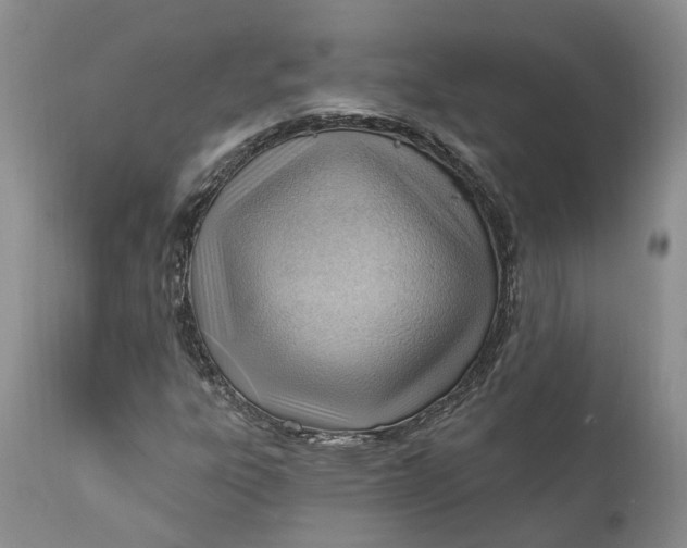 X0000111041303200907091559