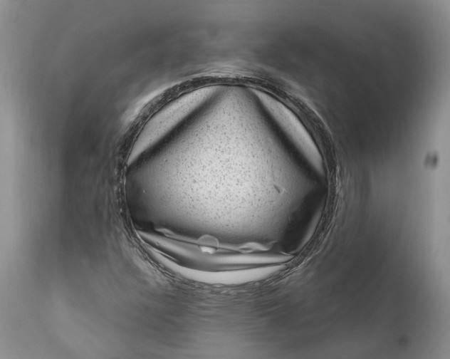 X0000111041304200907091559