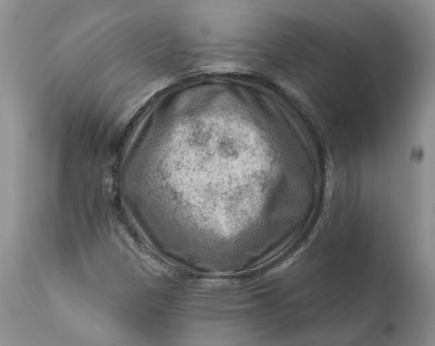 X0000111041305200907091559