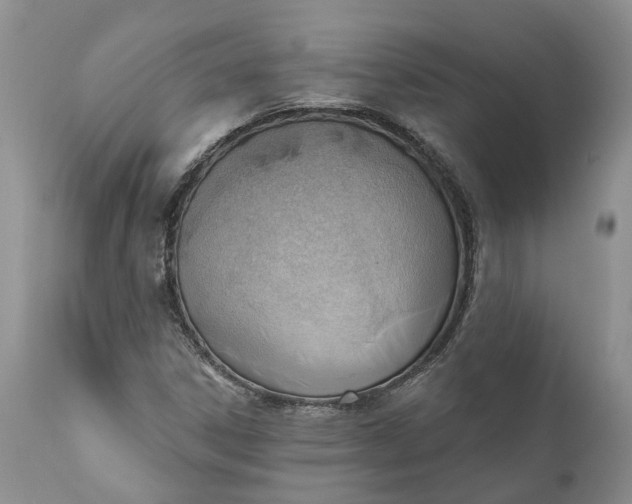 X0000111041306200907091559