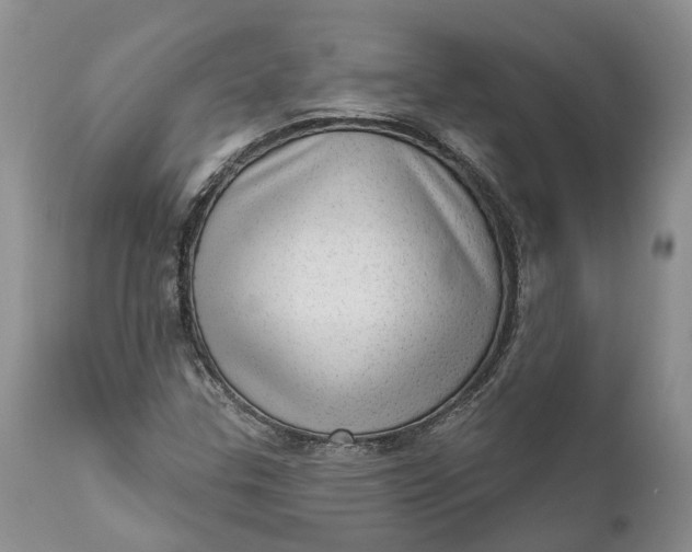 X0000111041307200907091559