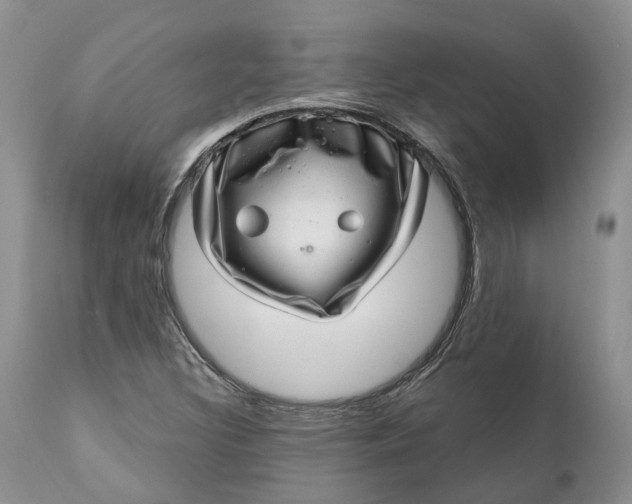 X0000111041308200907091559