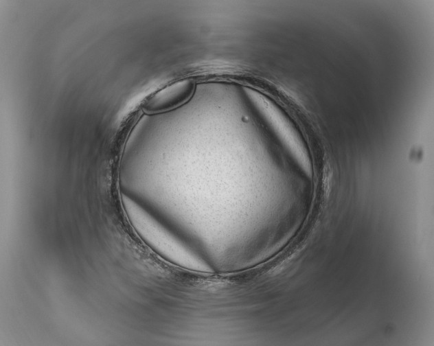 X0000111041309200907091559