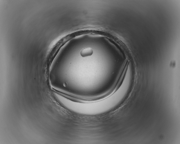 X0000111041310200907091559