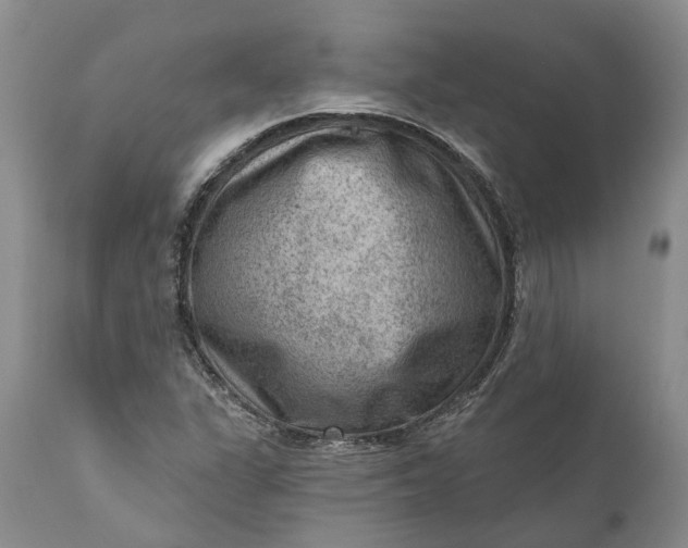 X0000111041311200907091559