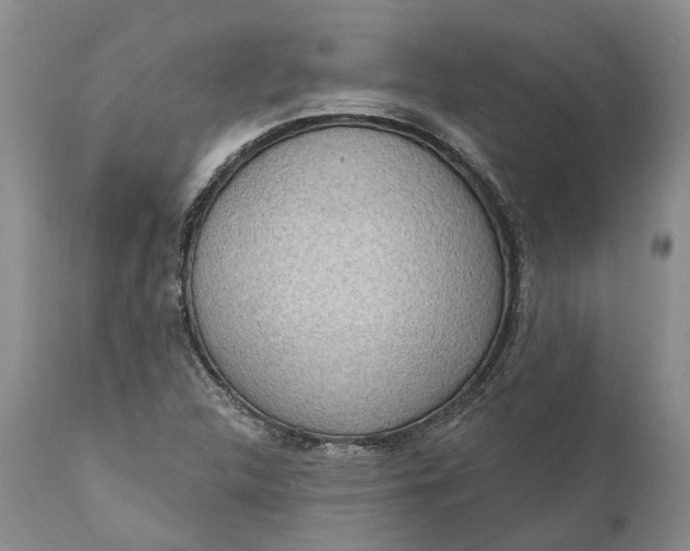 X0000111041312200907091559