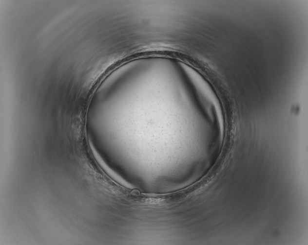 X0000111041313200907091559