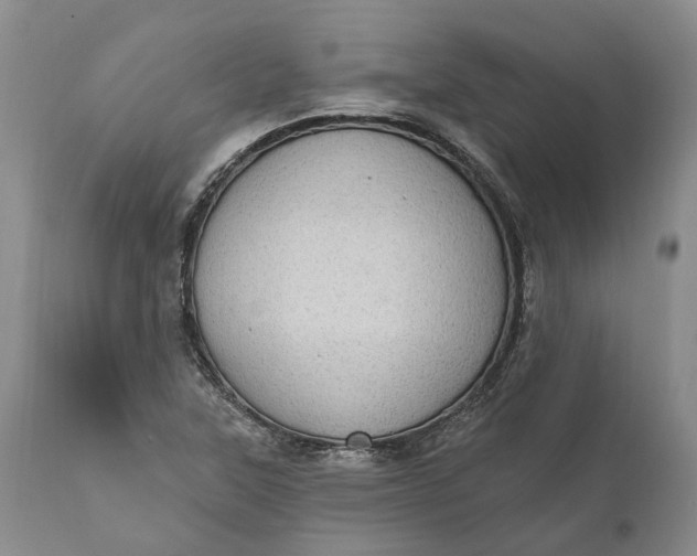 X0000111041315200907091559