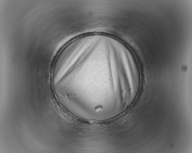 X0000111041316200907091559