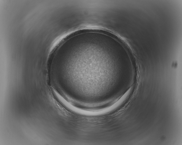 X0000111041319200907091559