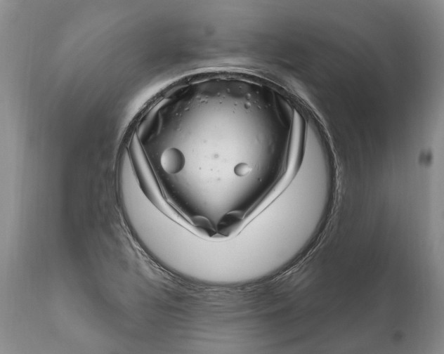 X0000111041320200907091559