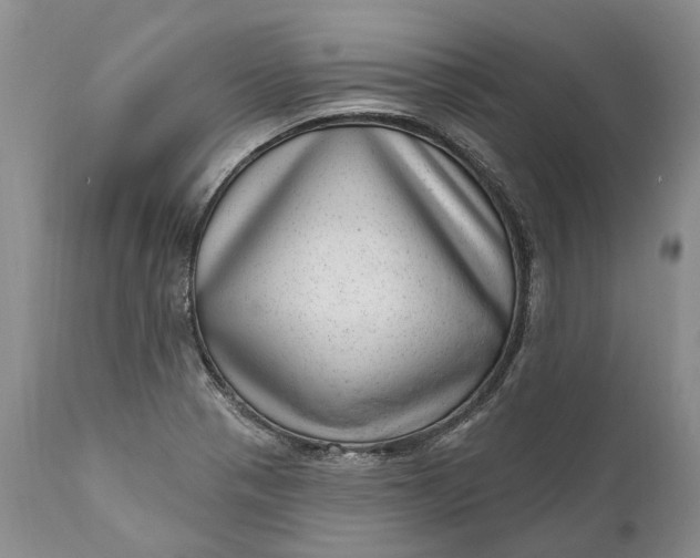 X0000111041321200907091559