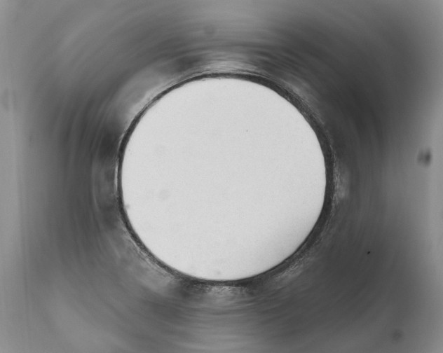 X0000111041322200907091559