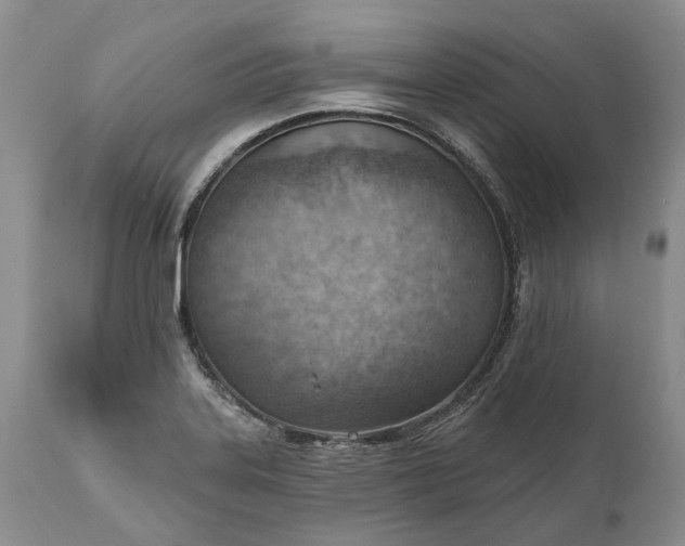 X0000111041323200907091559