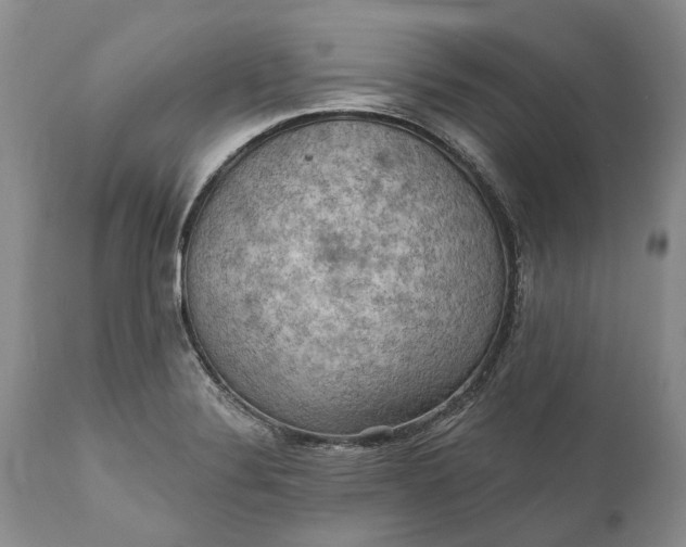 X0000111041324200907091559