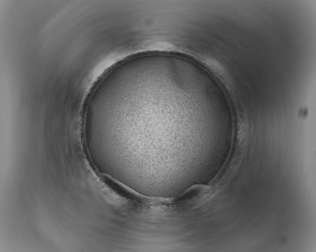 X0000111041326200907091559