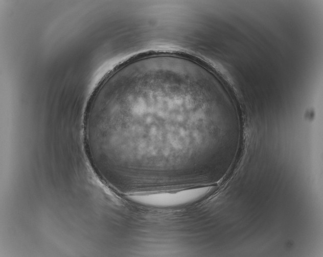 X0000111041327200907091600