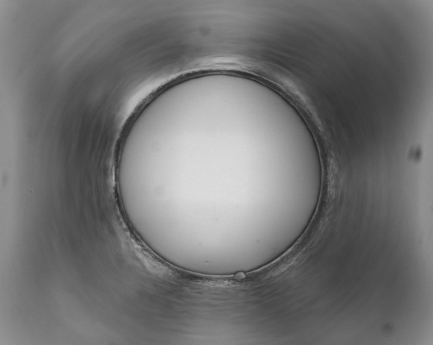 X0000111041328200907091600