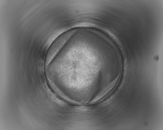 X0000111041329200907091600