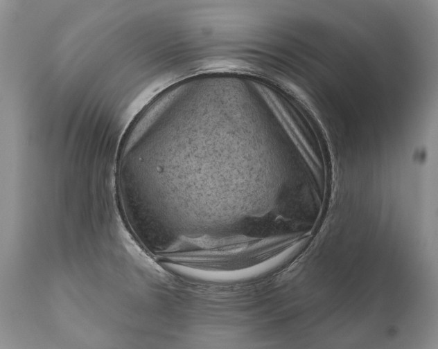 X0000111041330200907091600