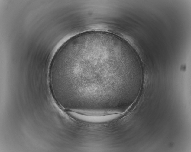 X0000111041331200907091600