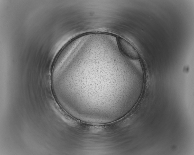 X0000111041332200907091600