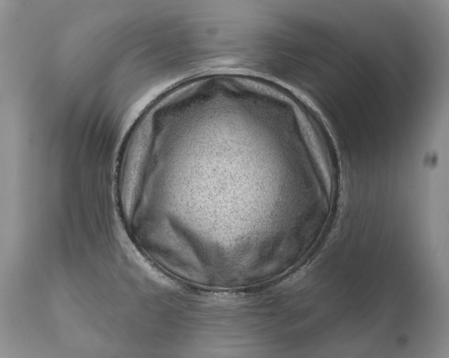 X0000111041333200907091600