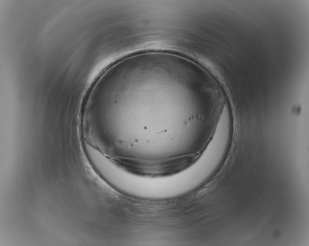 X0000111041334200907091600