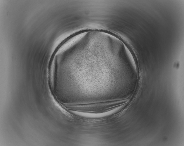 X0000111041335200907091600