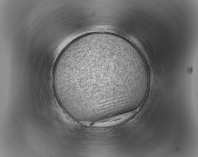 X0000111041336200907091600