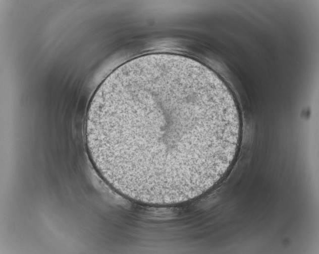 X0000111041338200907091600