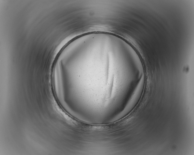 X0000111041339200907091600