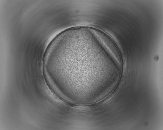 X0000111041340200907091600