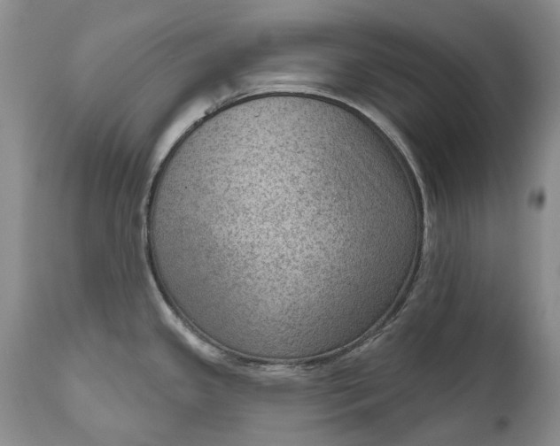 X0000111041341200907091600