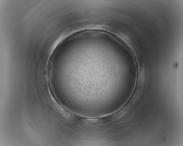 X0000111041342200907091600